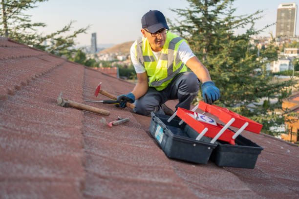 Best Aluminum Siding Installation  in Level Green, PA